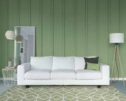 color couch goes with sage green wall