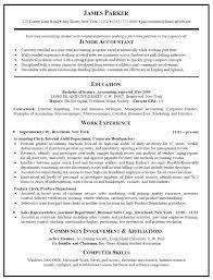 Accountant Resume Format In Word accountant resume sample          Job Resume Format India Example Good Resume Template Carpinteria Rural  Friedrich accountant resume sample india cpa