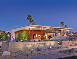 You must be at least 21 years old. Palm Springs Animal Care Facility Swatt Miers Architects Archdaily