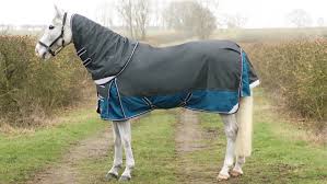 best lightweight turnout rugs with 50