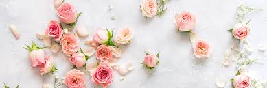 With so many types of house styles, narrowing the list down to your favorite can be overwhelming. 26 Types Of Pink Flowers Tips Pictures Proflowers Blog