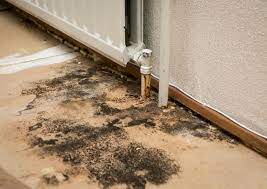 What To Do About Mold Under Floors