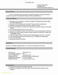 Resume Samples In Word Document New Cv Templates Free Download Word