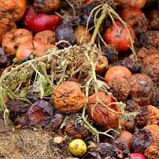 What To Compost Ingredients Planet