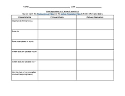 Photosynthesis Vs Cellular Respiration Graphic Organizer Essay