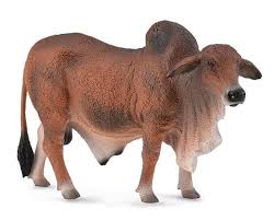 bull toys in collectible cow figurines