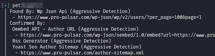 wpscan wordpress vulnerability scanner