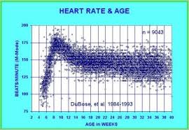 embryonic heart rates compared in