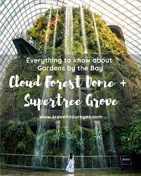 gardens by the bay supertree grove