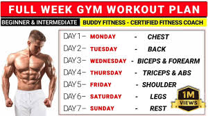 full week gym workout plan gym