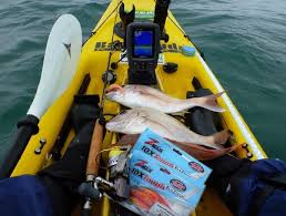 All our kayaks are designed to keep up with the waves, and our fishing models will make sure you keep up with your catch, too. Can You Have A Fish Finder On A Kayak Quora