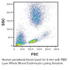 rbc lysing buffer ready to use