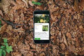 flower and plant identifier apps for iphone