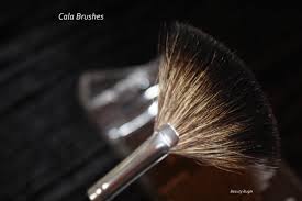 cala brushes affordable and top cl
