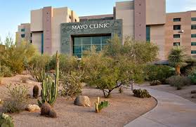 mayo clinic head and neck cancer center