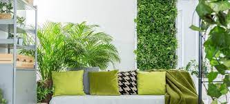 How Do You Build An Indoor Living Wall