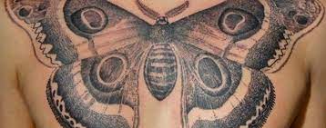 Significations du Tatouage Papillon | Crâne Faction