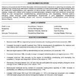 Resume Sample Executive Fancy Resume Examples Accomplishments Fly