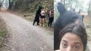 Plan to trap and relocate 'selfie bear' in Mexico | World News | Sky News