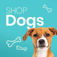 They have a surprisingly good selection for a small store and operate really convenient hours. Me My Pets The Official Uk Pet Store