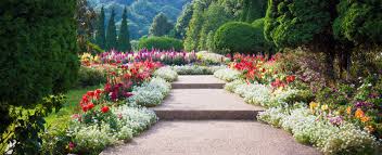 flower garden images browse 308 491