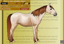 Rocky Mountain Horse Horse Isle Ultimate Guide