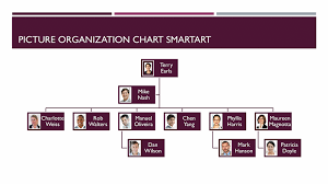 Picture Organizational Chart Purple White Widescreen