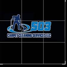 503 carpet cleaning service llc m