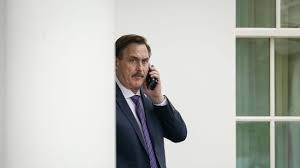 How far did Mike Lindell's net worth ...