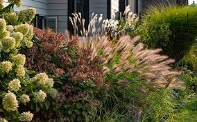 All About Ornamental Grass American