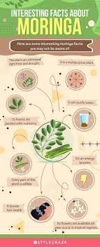 top 6 moringa benefits for the skin