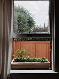 Putting boxes traditionally only found on windowsills inside the house. How To Plant A Victory Garden Even On A Windowsill The New York Times