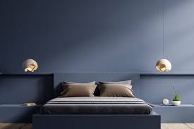 Blue Two Colour Combination For Bedroom
