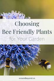 bees choosing bee friendly plants