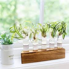 Eveage Wooden Stand With 5 Glass Tubes Desktop Plant Terrarium For Home Office Garden Decoration