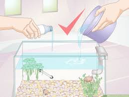 How To Test Ph In A Fish Tank 9 Steps With Pictures Wikihow
