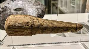 Wood you believe it? 2000-year-old sex toy found at Vindolanda Roman fort  in Northumberland | Euronews