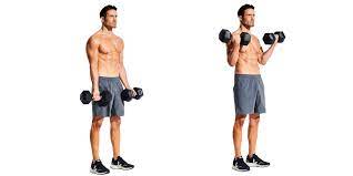 dumbbell arm workout for bigger biceps