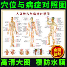 Usd 7 04 Chinese Medicine Moxibustion Acupuncture Points