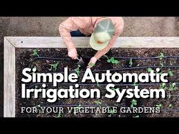 Easy Diy Automatic Irrigation System