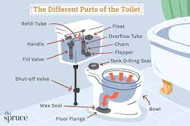 parts of a toilet what they are and