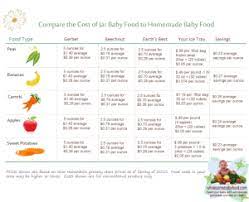 compare the homemade baby food cost to