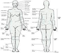 This diagram depicts picture of the female body 744×992 with parts and labels. Female Body Parts Description Human Sex Education