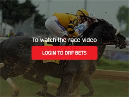 Drf Bets Online Horse Race Betting Free Pps Expert Analysis