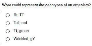 the genotypes of an organism rr