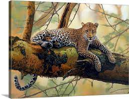African Leopard Wall Art Canvas Prints