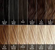 Dear Color Crew What Level Is My Hair Hair Shades Brown
