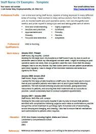 Nursing CV template  nurse resume  examples  sample  registered     Experienced nursing resume