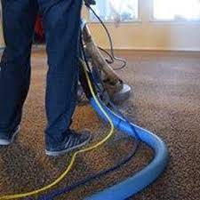 ace carpet cleaning 100 e whitestone