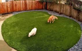 Synthetic Grass For Dog Run